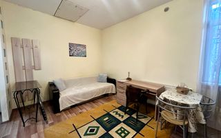 1 camera open space, 2 parcari, curte proprie, FSEGA, Iulius Mall - Poză 1