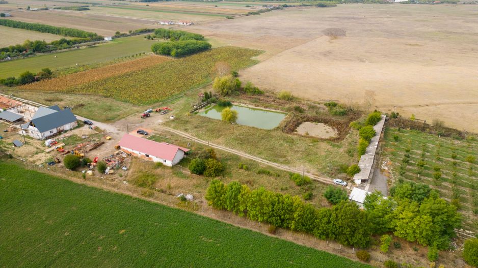 Teren intravilan cu iazuri și casă - Chișineu-Criș - Poză 22