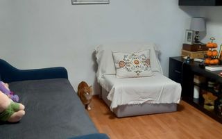 Casă cu Teren de Vânzare – Locație Excelentă în Domenii, Sector 1 - Poză 3