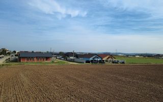 InvestZone vinde 10 ha la Santandrei - Poză 1