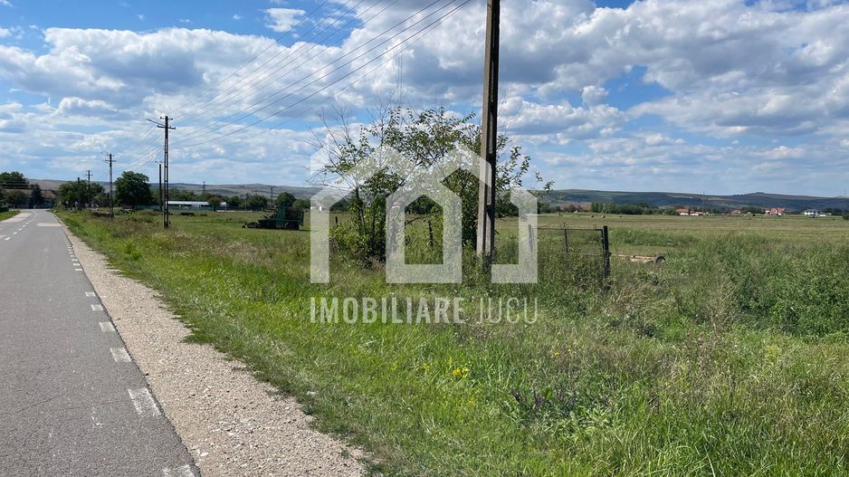 Teren construibil 1500mp - Front 29m - Jucu de Sus - Poză 4