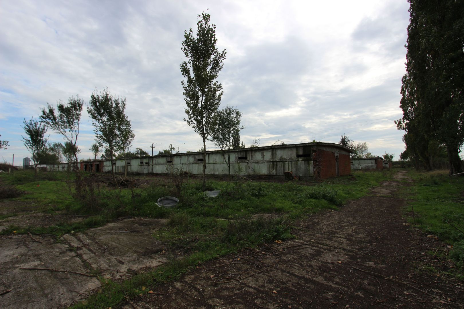 Vanzare hale Mosnita Noua-fosta Ferma 7 - Poză 25