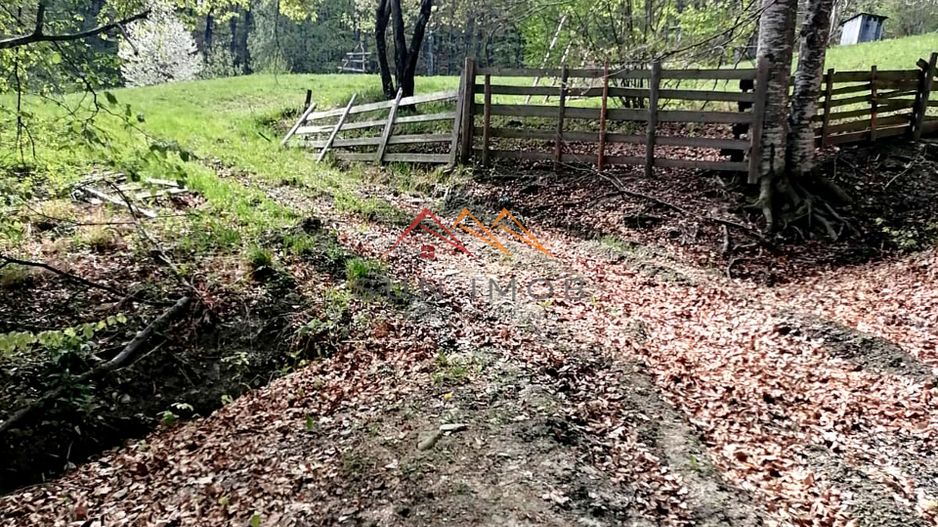 Teren Extravilan 23.000 mp | Valea Doftanei-Secăria | 11 €/mp - Poză 4