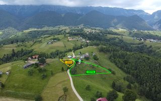 Teren Moieciu zona Pestera | Utilitati | 4.807 mp - Poză 2