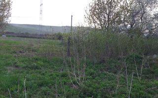 Teren intravilan si extravilan de vanzare in comuna Grajduri, satul Lunca - Poză 2