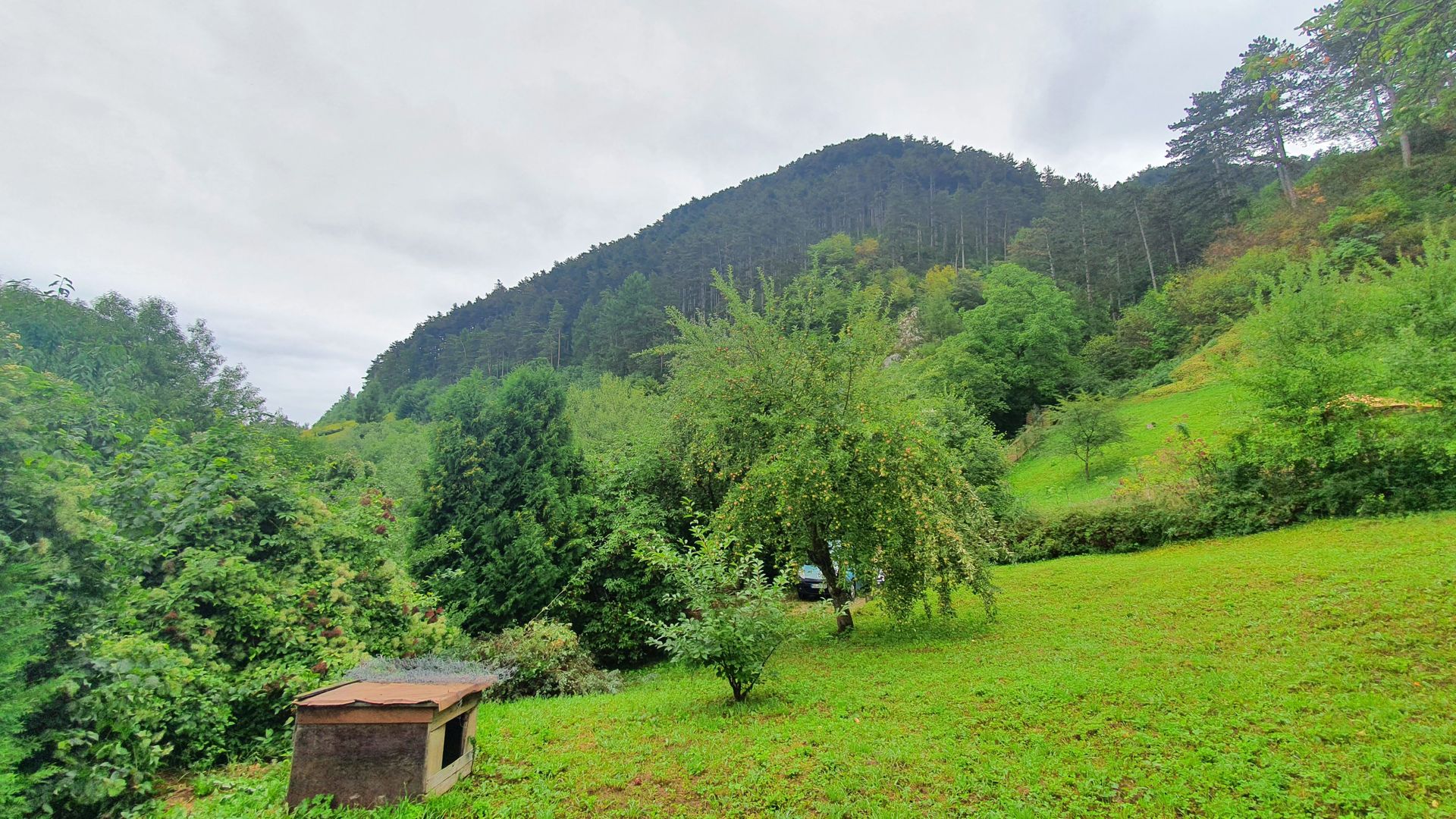 Schei gradina +casa de vacanta,  intre case,front pe trei parti - Poză 12