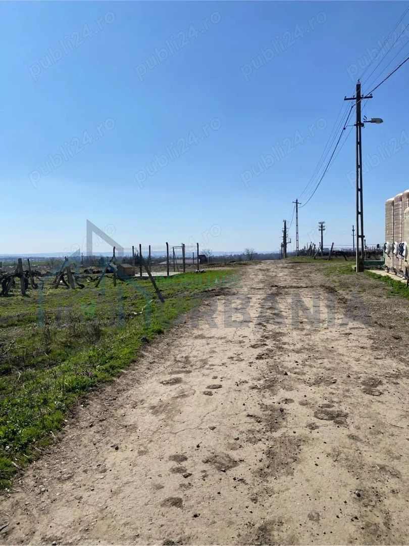 Teren de vanzare - Poză 9