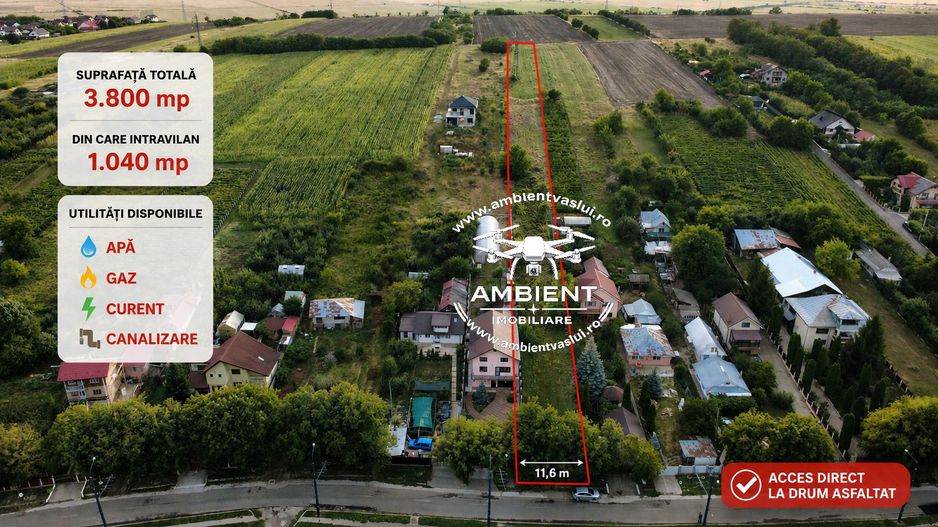 Teren 3.800 mp zona CASTANILOR, ideal pentru locuință, investiție sau extindere - Poză 3