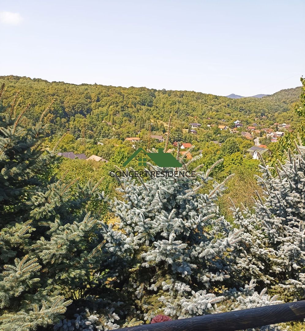 Vilă P+M, 10 ari teren, panoramă superbă – Valea Borcutului - Poză 14