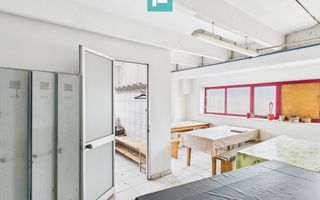 Hală de producție, cu birouri și teren, în Sebiș - Poză 30