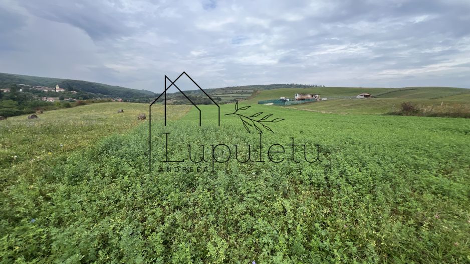 Teren | 1.500 MPU | Bradu - Poză 1