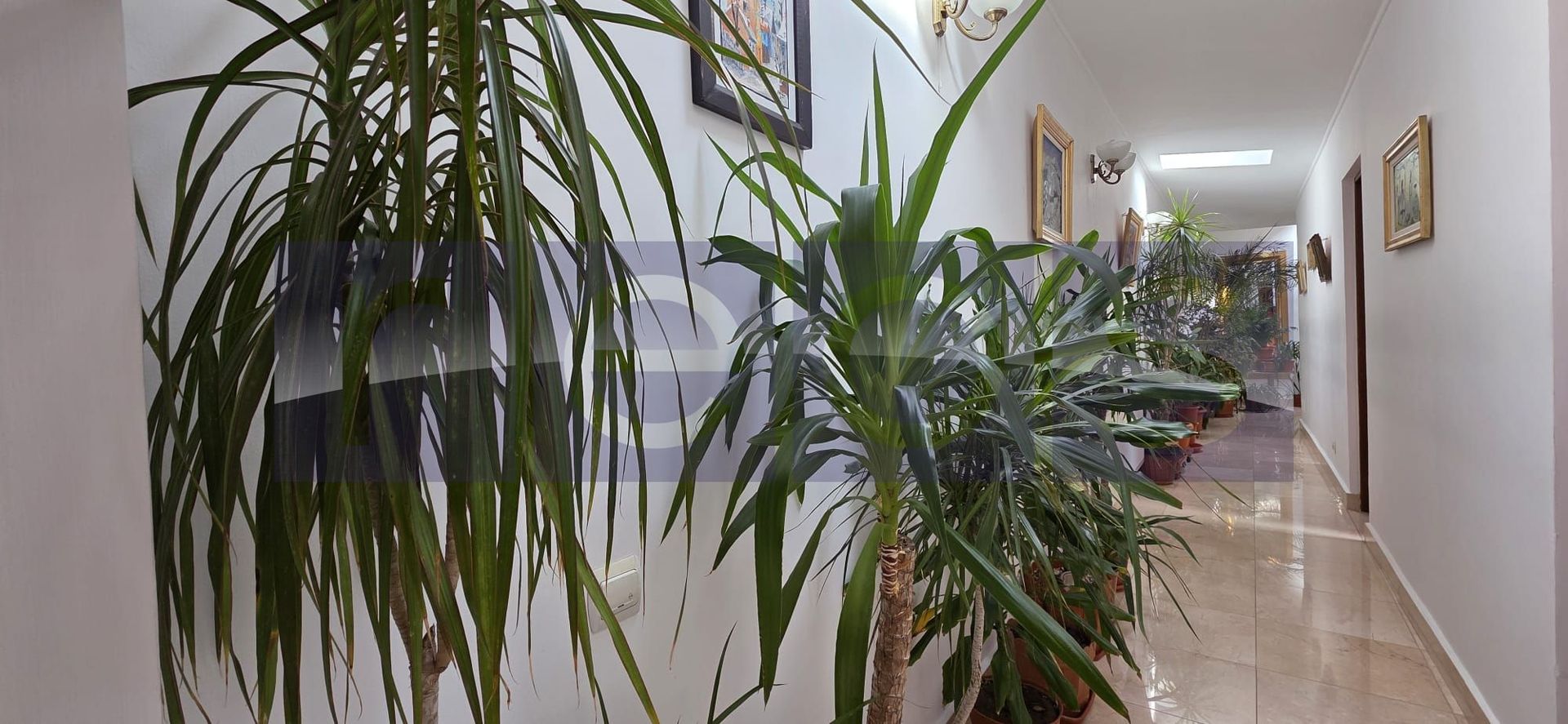 VANZARE CASA P+1 | 5 CAMERE | ZONA ROSETTI - Poză 21