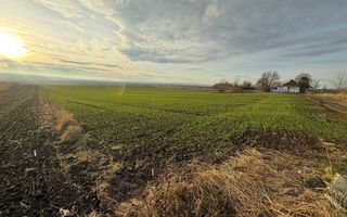 TEREN EXTRAVILAN | E85 | 126.000EURO NEGOCIABIL | - Poză 6