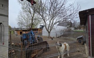 Casă spațioasă | Rădăuți - Poză 36