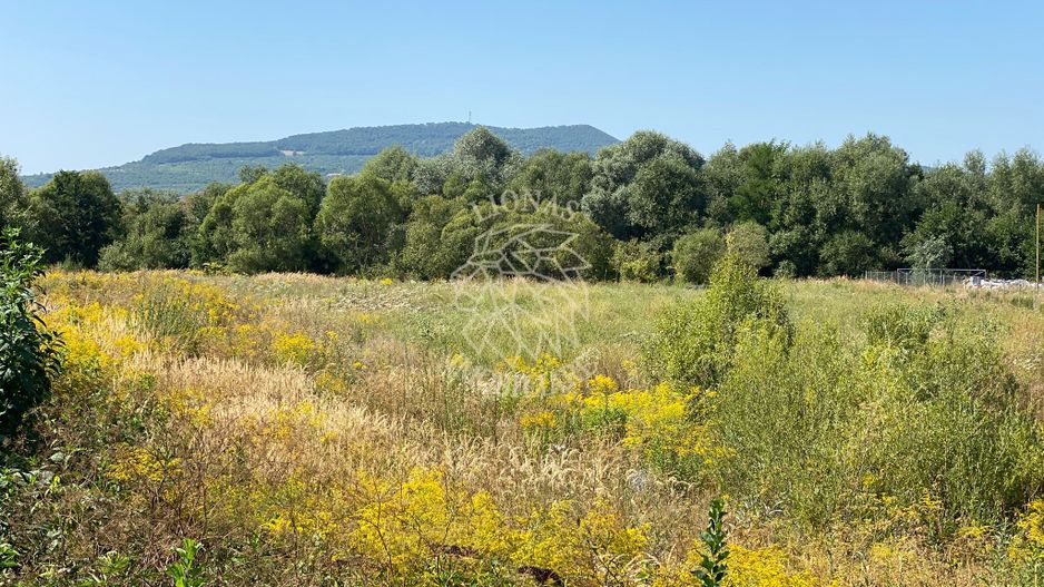 Teren 4100 mp - oportunitate investitie - Bistrita Zona Ranahum - Poză 1