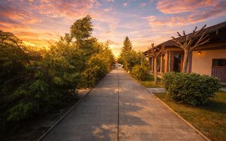 Casa cu teren 1250 m Matei Millo - Poză 2