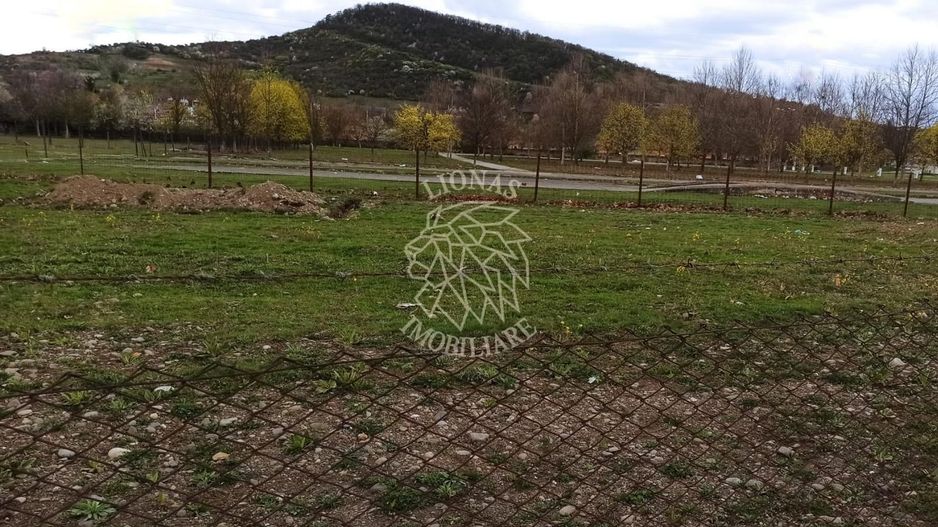 Teren intravilan 1000 mp-ideal locuinte P+4/Hala/Institutii-Viisoara - Poză 2
