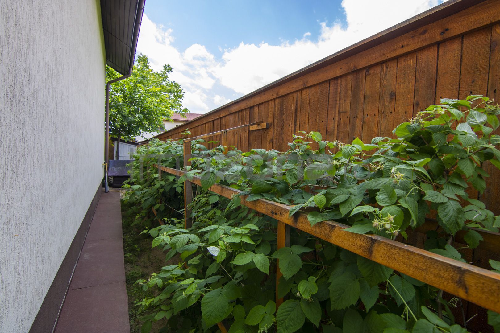 Casă / Vilă, 5 camere, teren 690 Mp., Prelungirea Ghencea - Maracineni - Poză 19