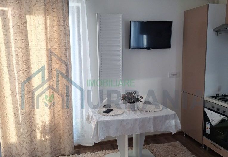 Apartament 2 camere, penthouse, de inchiriat – Zona Nicolina-CUG, Valea Adanca - Poză 4