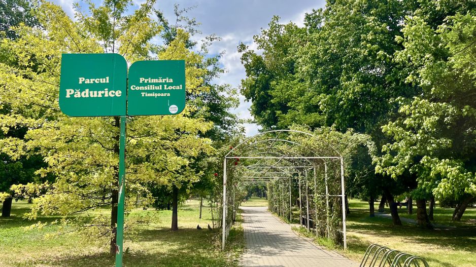 Apartament 2 camere, spațios, zona Spitalul Județean - Parcul Soarelui - Poză 24