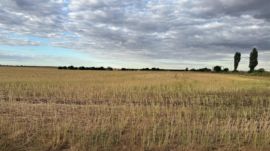 Teren intravilan Branesti - Poză 1