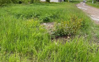 Teren de vanzare | 4.300 Mp | Cristian - Poză 4