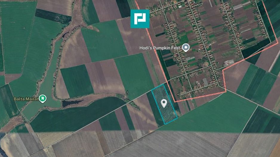 Teren de 8600 Mp2, agricol extravilan, Mailat - Poză 3