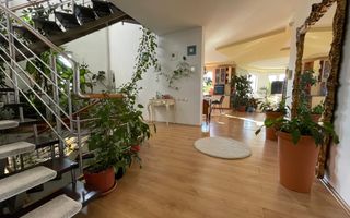 Casa individuala spatioasa de inchiriat in zona Borhanci! - Poză 5