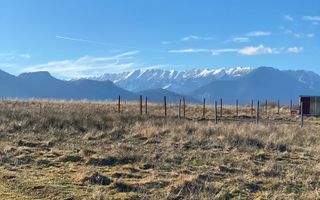 Teren Sohodol 10.000 mp - Poză 6