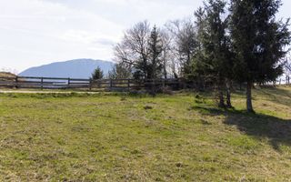 Teren intravilan în Poiana Mărului, 3.791 mp cu priveliste panoramica - Poză 26