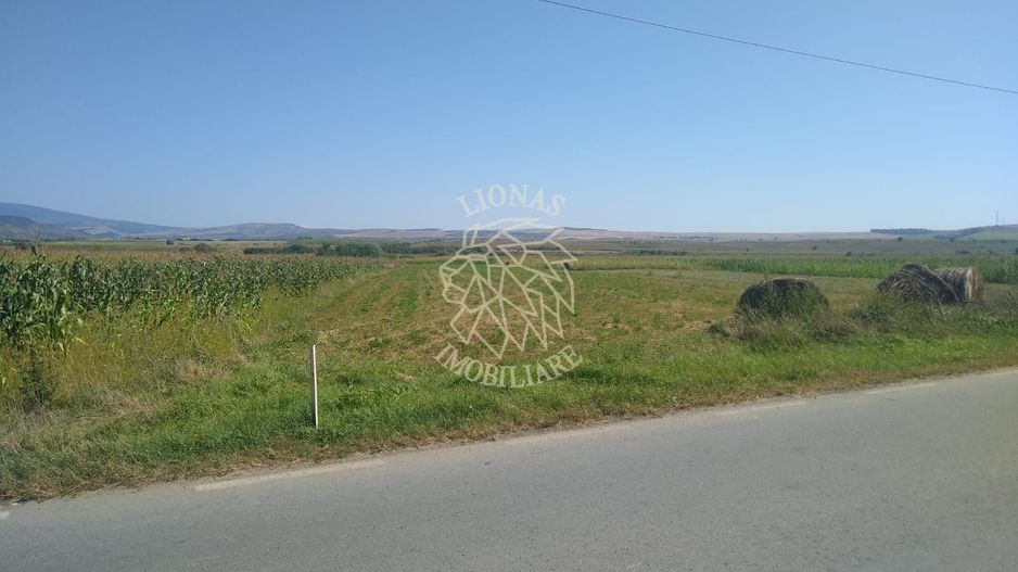 Teren 20000 mp (2 ha)-parcelabil-ideal cabane/agricultura/ferma-Jelna - Poză 2