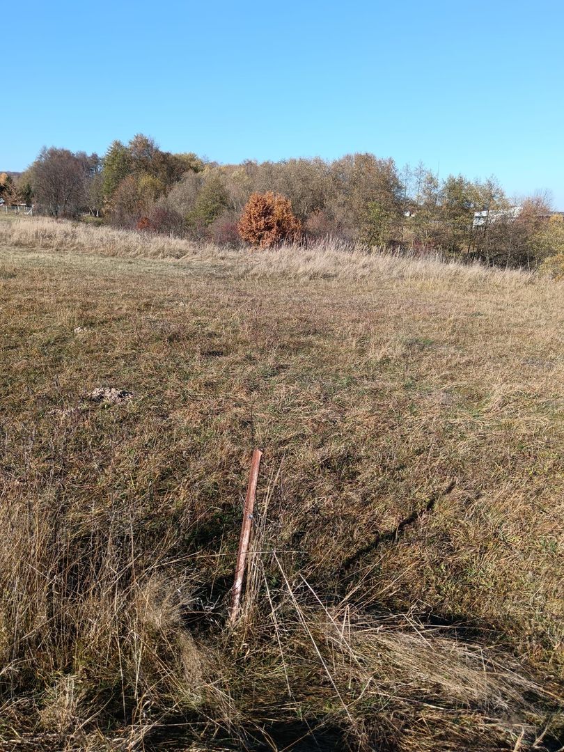 Teren langa Padure Dragomirna 40 Ari ISuceava/Dragomirna I 63.000Euro - Poză 7