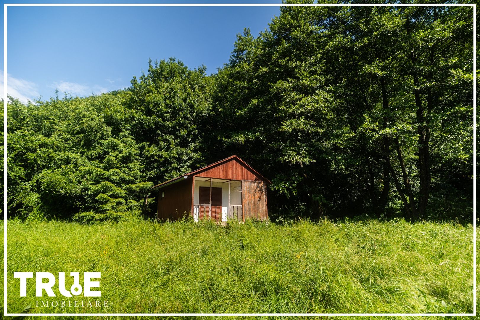 Teren intravilan 2.800 m² în Câmpu Cetății – liniște și natură - Poză 7