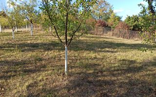 Teren intravilan 730 mp-livada-vedere panoramica-Valea Sigmirului - Poză 6