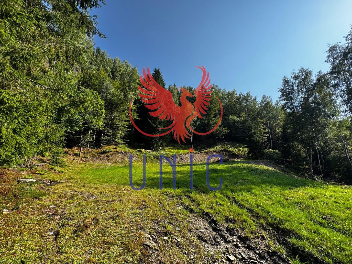 18000 mp de natura pura ,Lupeni, langa Straja - Poză 30