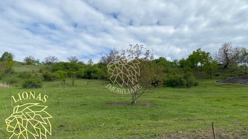 Teren Extravilan - Ghinda - 3.5000mp-Parcelabil - Poză 6