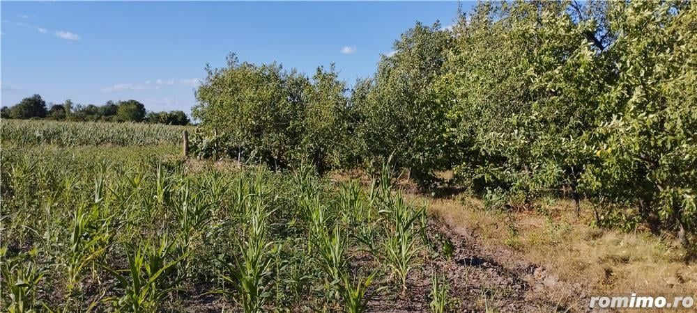 Casă cu teren și front stradal generos - Poză 8