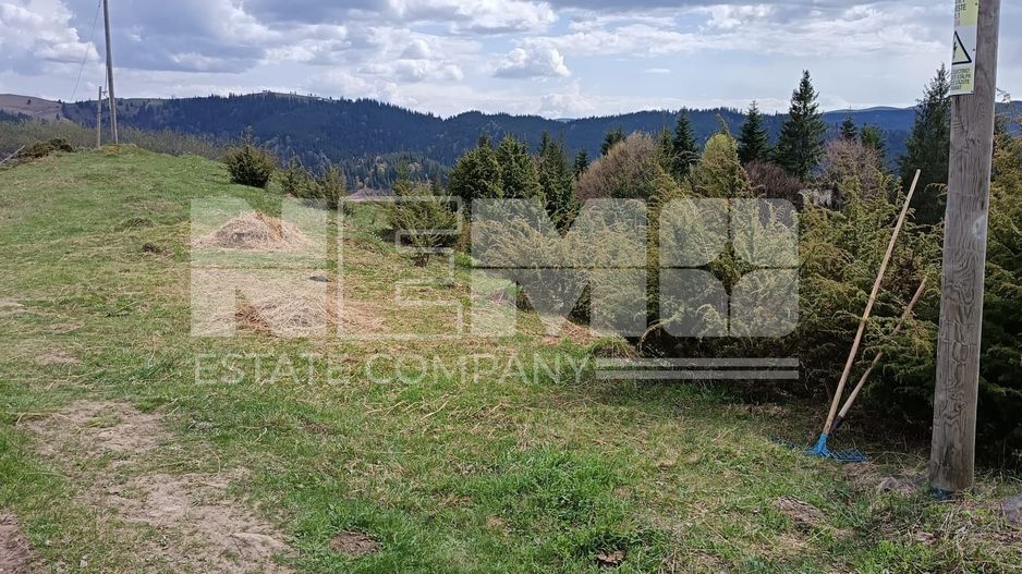 Teren Intravilan | Brodina de Jos | 16900 MP - Poză 2