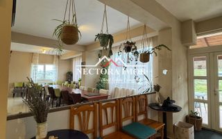 NECTORA IMOB-Pensiune Baile Felix, 16 camere, 723 mp + 4460 mp teren - Poză 9