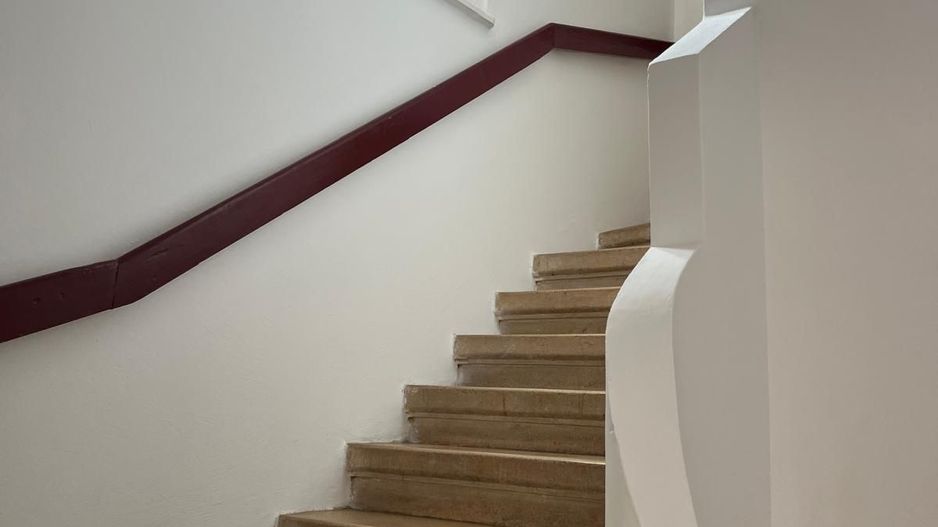 Apartament 3 cam in vila Domenii Casin | Curte proprie | Garaj 2 locuri - Poză 19