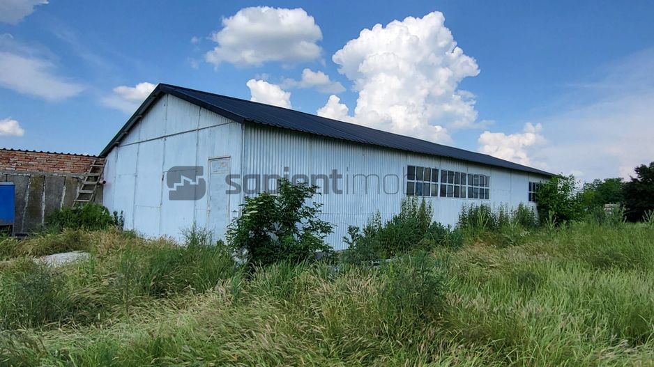 FERMA ZOOTEHNICA DE VANZARE - Poză 2