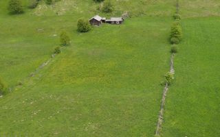 Teren Manastirea Humorului 4000mp - Poză 5