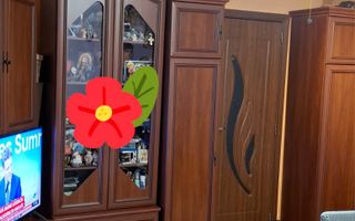 Apartament 3 camere -Zona Dacia - Poză 7