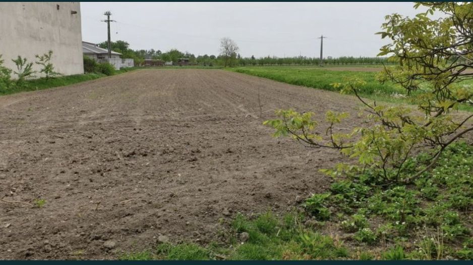 Vand casa cu teren ultracentral in Medisu Aurit - Poză 2