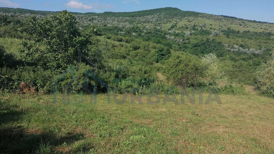 Teren de vânzare în Mogosesti, Budesti - Intabulat - Poză 3