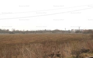 OTOPENI - Str. Drumul Garii Balotesti, 42100 mp. teren in zona construibila - Poză 5