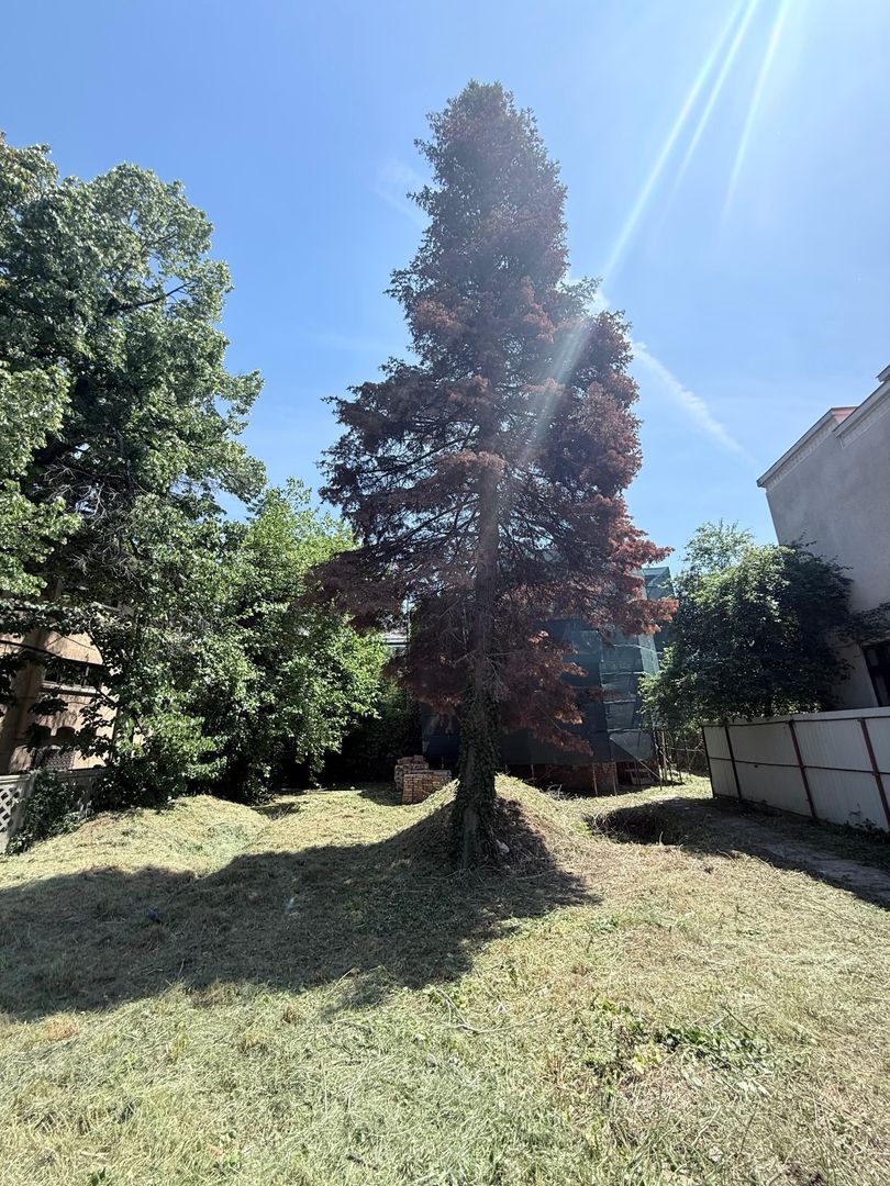 Teren cu constructie - Aviatorilor | Dorobanti capitale - Poză 4