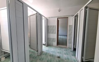 Clădire de birouri cu hala industriala si teren 1464mp | Mehala - Poză 17