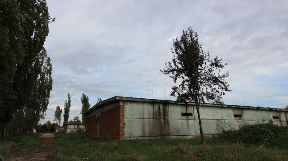 Vanzare hale Mosnita Noua-fosta Ferma 7 - Poză 14