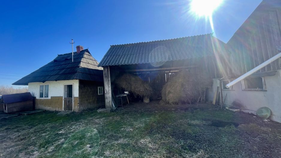 CASA RENOVATA + TEREN 3100 MP | CURTE SI GRADINA | FRATAUTII NOI - Poză 16